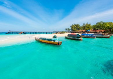 ZANZIBAR | Raj | Hedonizam | Ostrvo Zanzibar