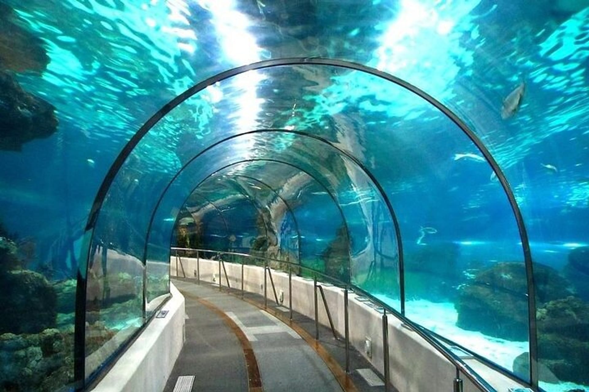 Grand Aquarium